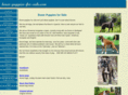 boxer-puppies-for-sale.com