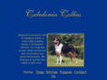 caledoniacollies.com