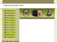 chestertsepups.com