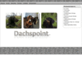 dachspoint.com