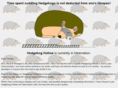 hedgehoghollow.com