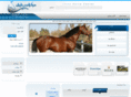 ihc24.com