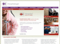 hospitalsolutions.us