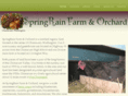 springrainfarmandorchard.com