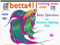 betta411.com