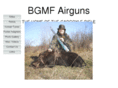 bgmfairguns.com