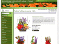 blossomsfloristmclean.com