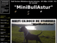 minibullastur.com