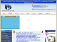 studyabroad1999.com