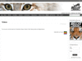 bigcatproductions.biz