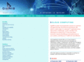 digimis.com