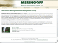 meringoffwealth.com