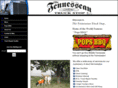 tennesseantruckstop.com