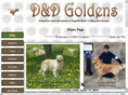 ddgoldens.com