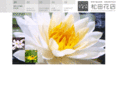 matsuda-hana.com