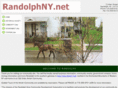 randolphny.net
