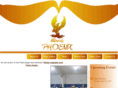 illinoisphoenix.org