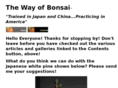 thewayofbonsai.com