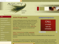 agilitytraininggroup.com