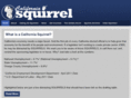 californiasquirrel.com