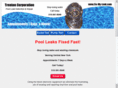 fix-my-pool.com