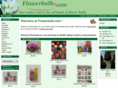 flowerbulb.com