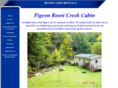 rivercabinrentals.com