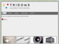 tridoms.com