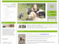 mirandaluck.com