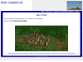 bickler.co.nz