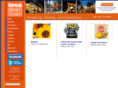 breadowntown.com