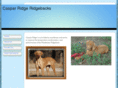 casparridgerr.com