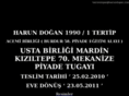 harundogan.com