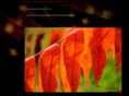 jechanayphotography.com