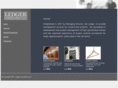 ledgerconsulting.com