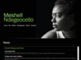meshell.com