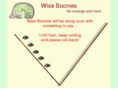 wise-boonies.com