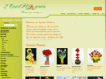 2coolflowers.com
