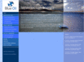 blueoilchile.com