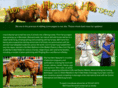 horseacts.com