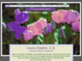 lauraclaytoncs.com