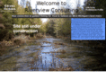 riverview-consulting.com