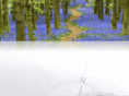 theartofnavigation.com