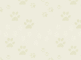 avondalevet.com