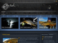 finbackdesign.com