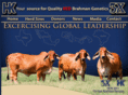 hkcattle.com