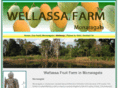 wellassafarm.com