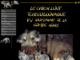 le-chien-loup-tchecoslovaque.com