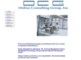 online-consulting-group.com