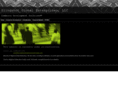 slingshotglobalenterprises.com